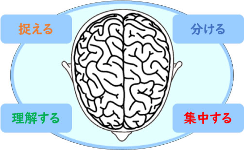 捉える/分ける/理解する/集中する